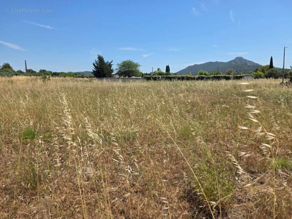 Terrain 700 m² à La Crau  - photo 2