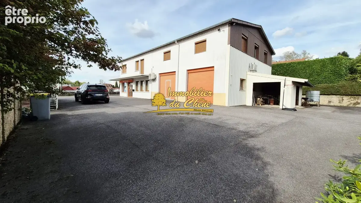 Maison 8 pièces 230 m² à vendre à Luxeuil-Les-Bains (70300) - photo 3