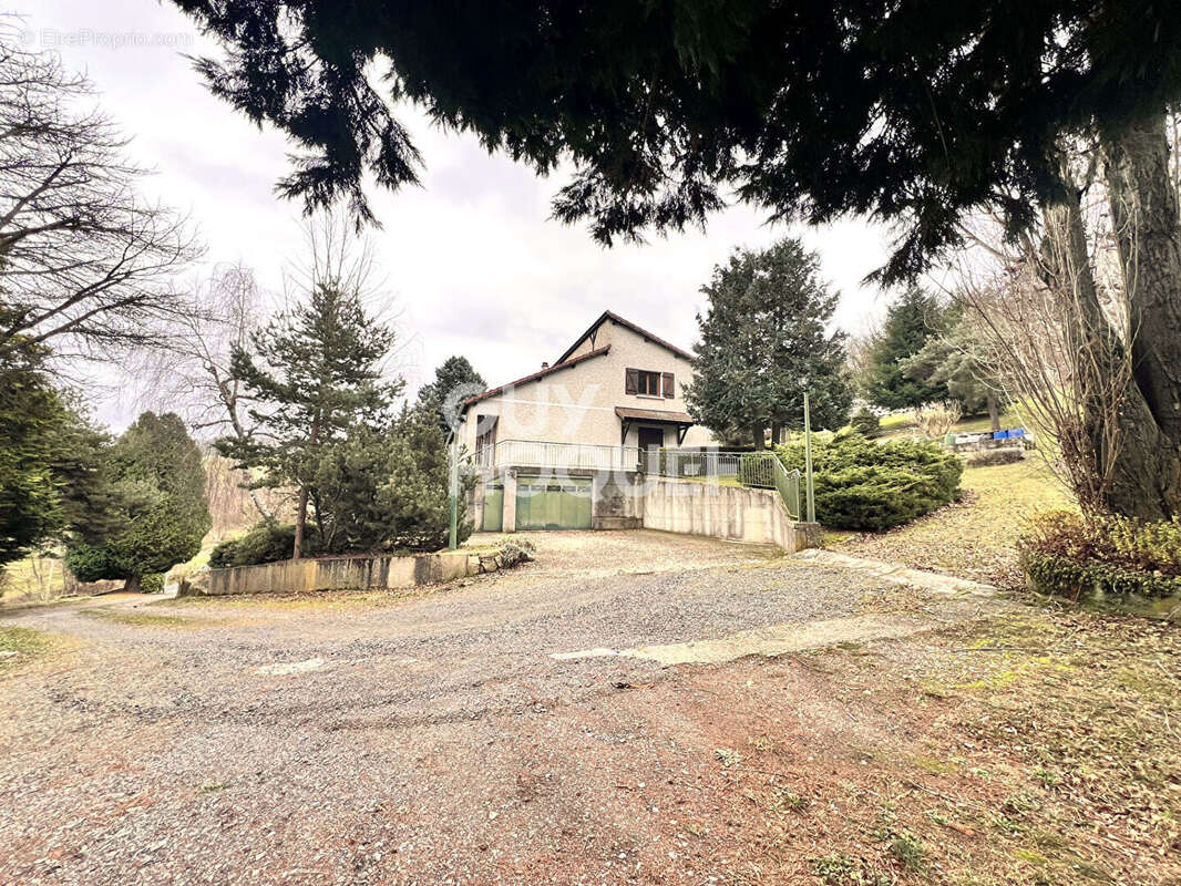 Maison à SAINT-MARTIN-EN-HAUT