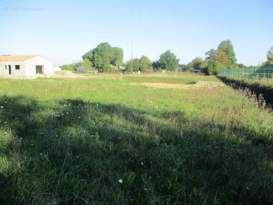 Terrain à SAINTE-FOY