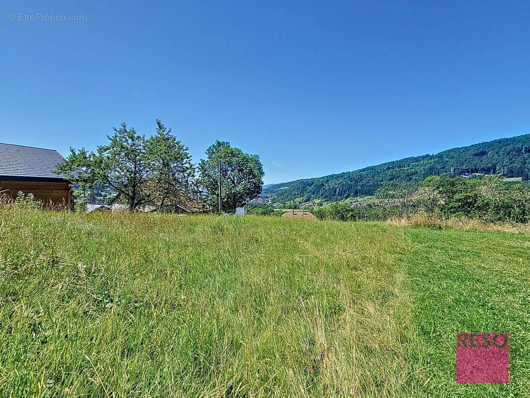 Terrain 719 m² à Habere-Poche  - photo 5