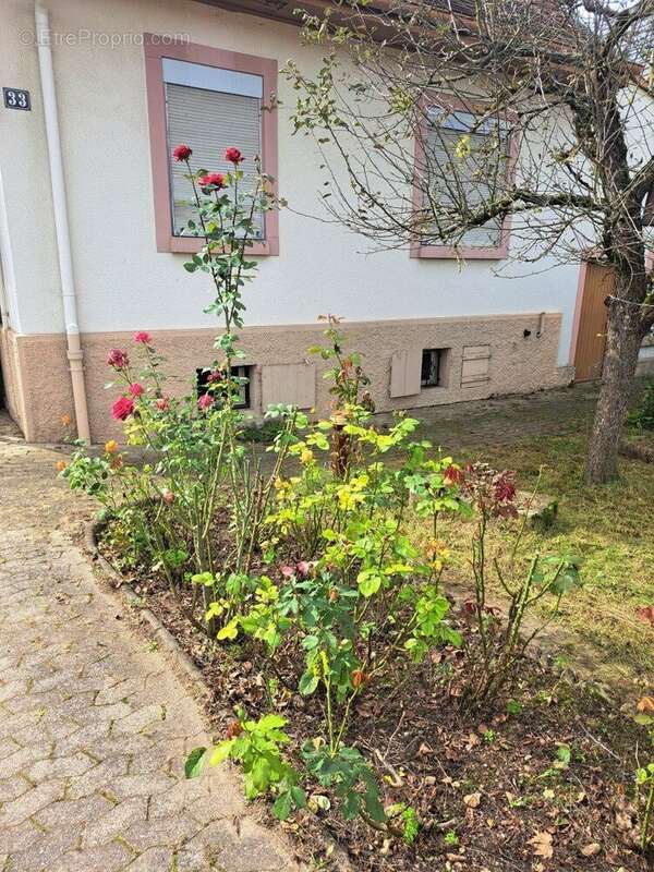 Maison à STRASBOURG