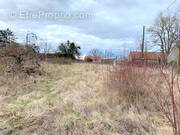 Terrain à CERISIERS