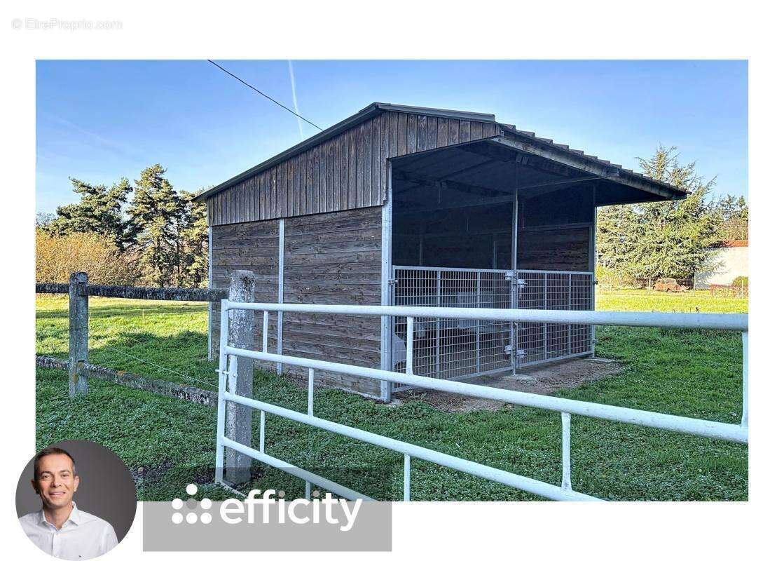 Maison à MONETAY-SUR-ALLIER