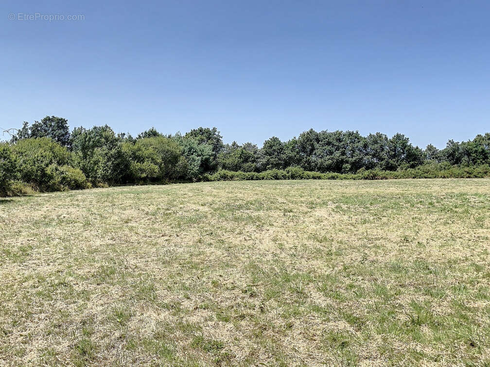 Terrain à TALMONT-SAINT-HILAIRE