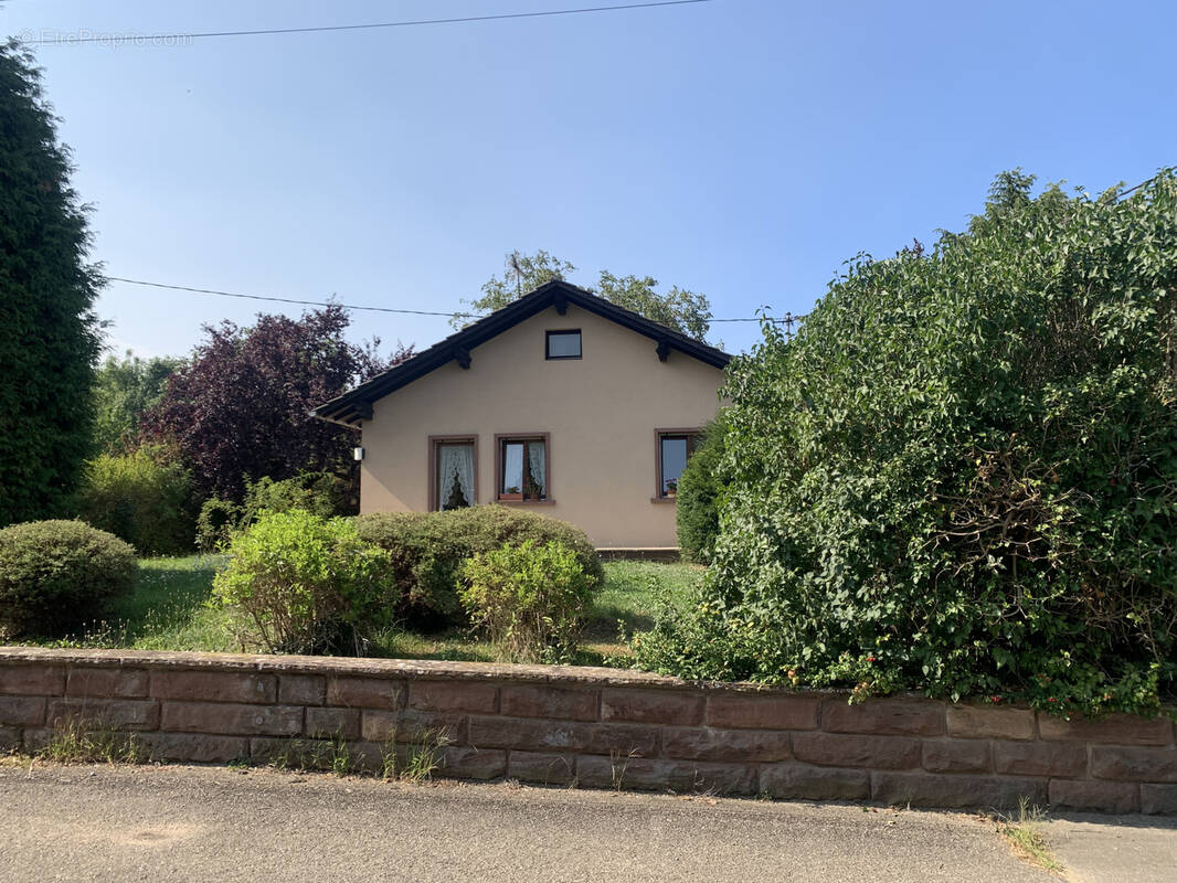 Maison à SAVERNE