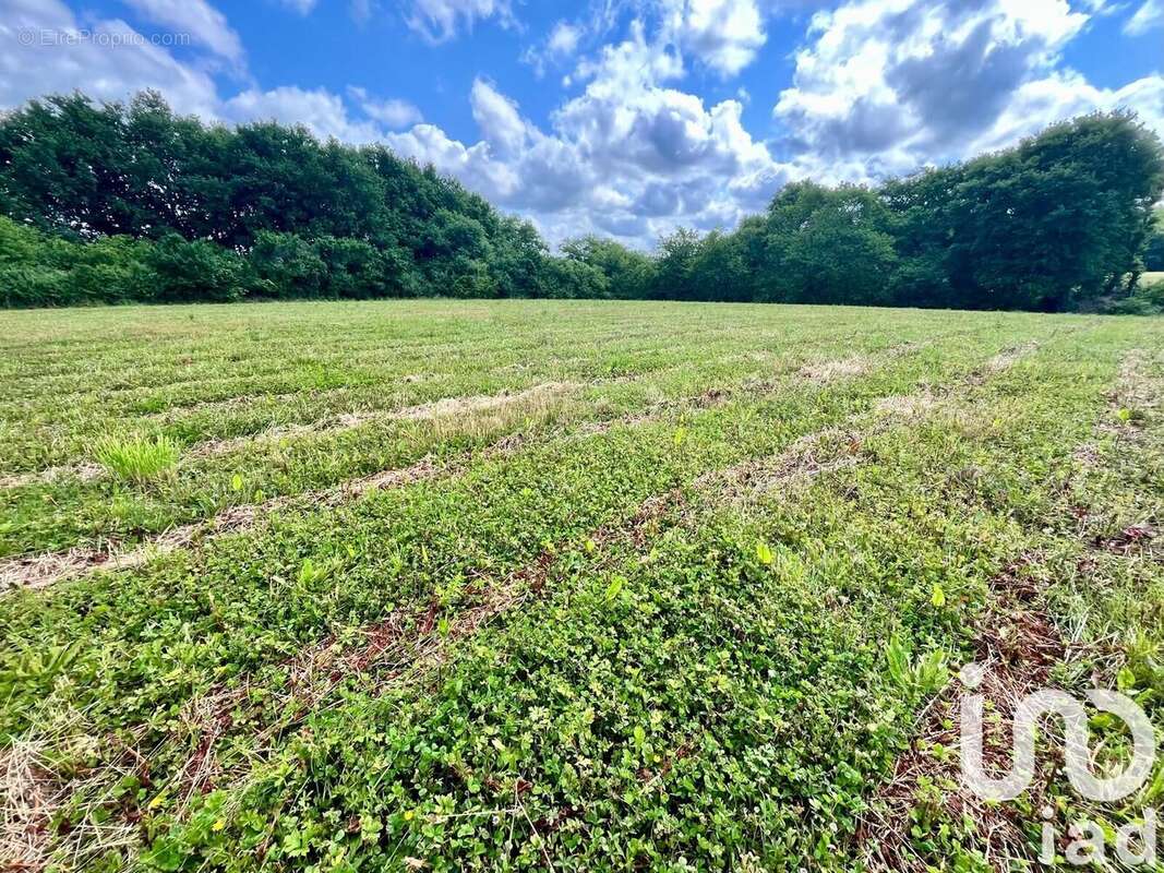 Photo 6 - Terrain à SAULT-DE-NAVAILLES