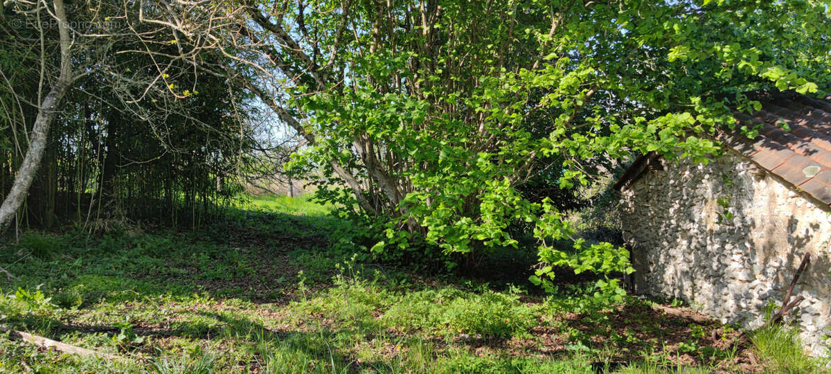 Autre à SAINT-LEON-SUR-L'ISLE