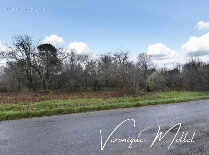 Terrain à LIGNAN-DE-BORDEAUX