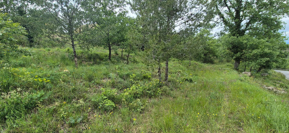 Terrain à SAINT-PAUL-EN-FORET