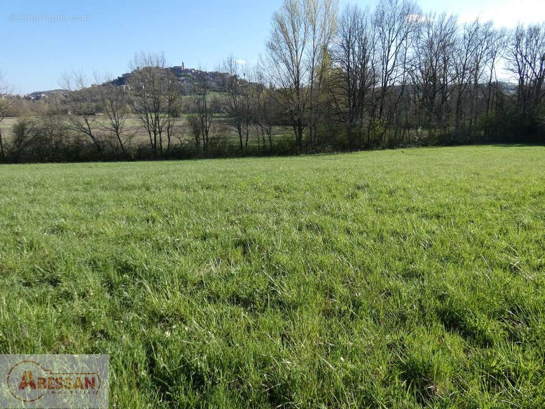 Terrain à CORDES-SUR-CIEL