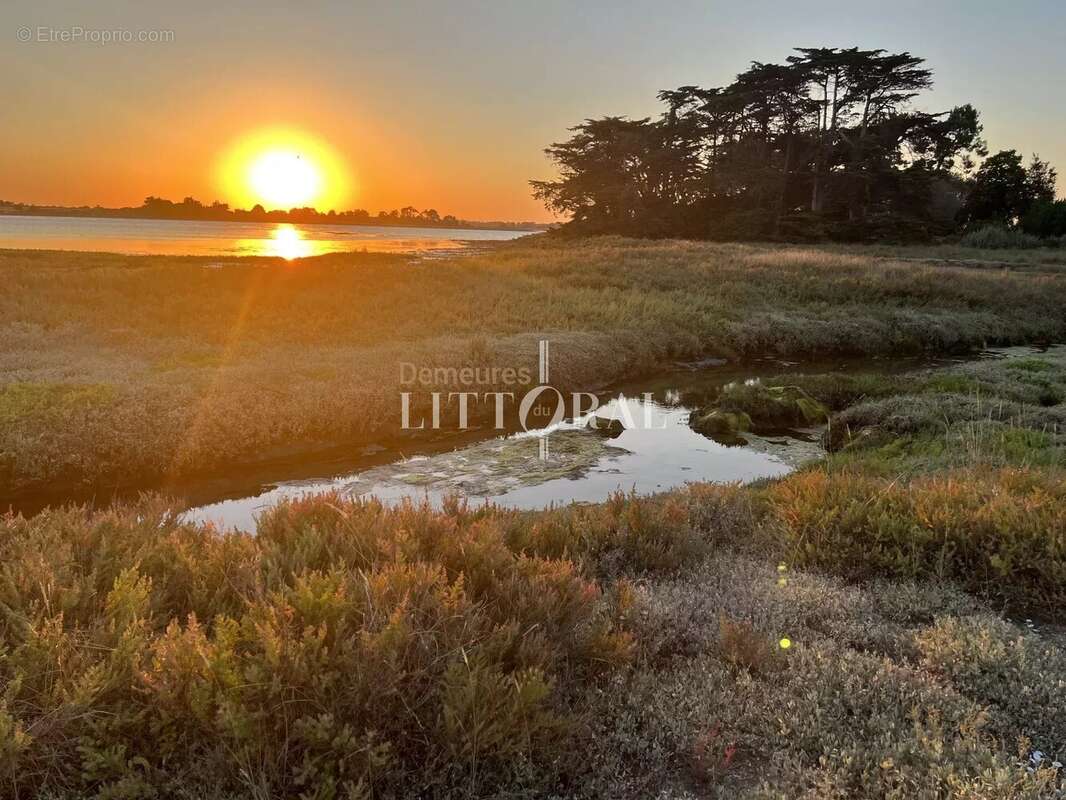 L’île d’Arz – Propriété unique en bord de mer - photo 20