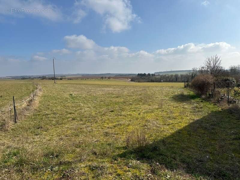 Prenois terrain constructible de 1462m2 - photo 3