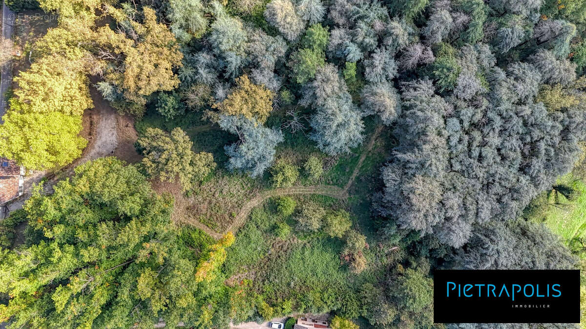 Terrain à VIENNE