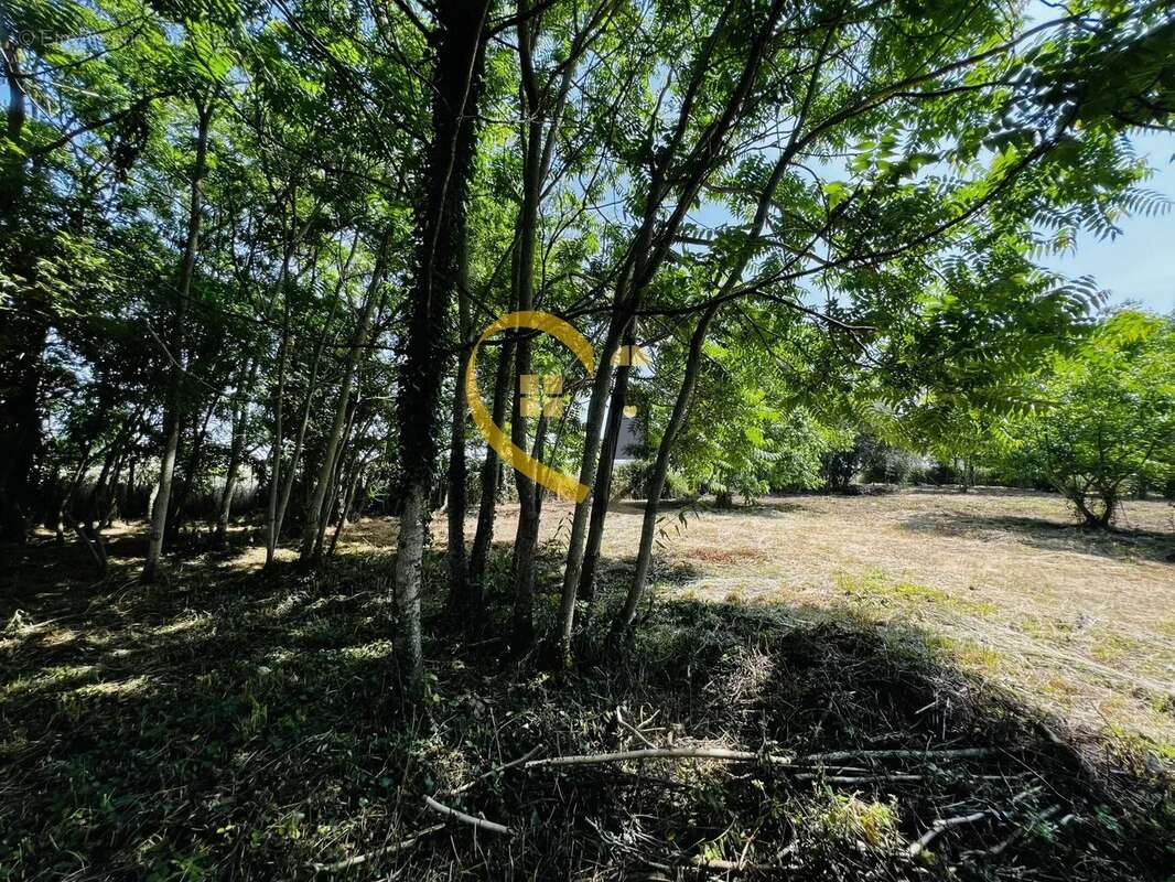 Maison à SAINT-MARTIN-SUR-OCRE
