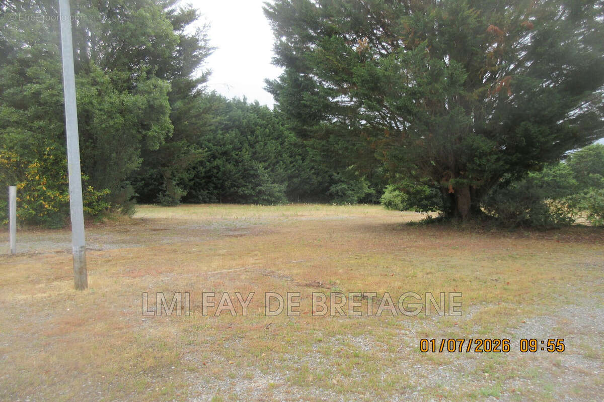 Commerce 640 m² à Maure-De-Bretagne  - photo 8