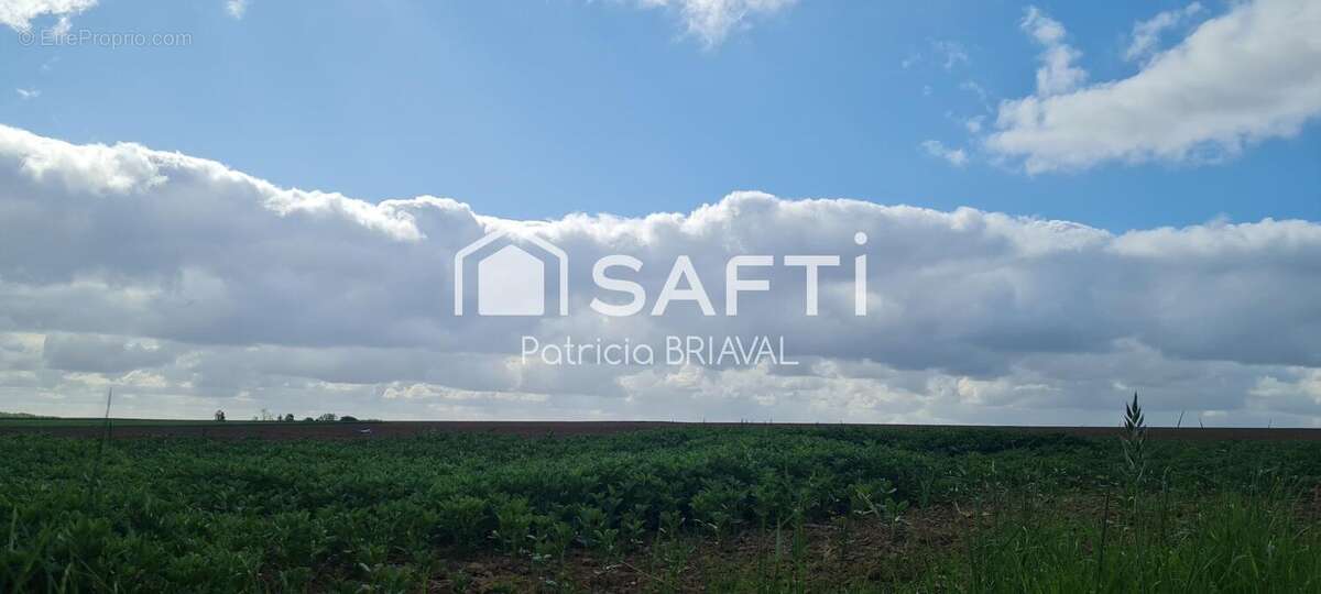 Photo 4 - Terrain à HERMAVILLE