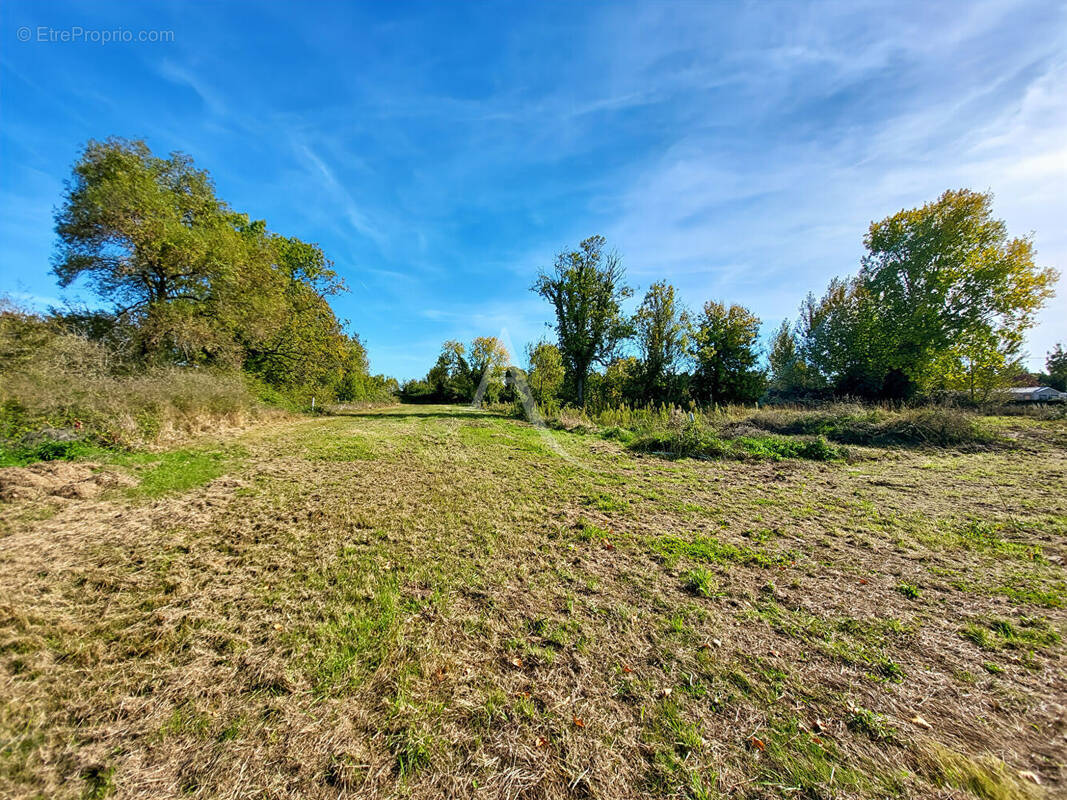 Terrain à NOTRE-DAME-DE-MONTS