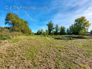 Terrain à NOTRE-DAME-DE-MONTS