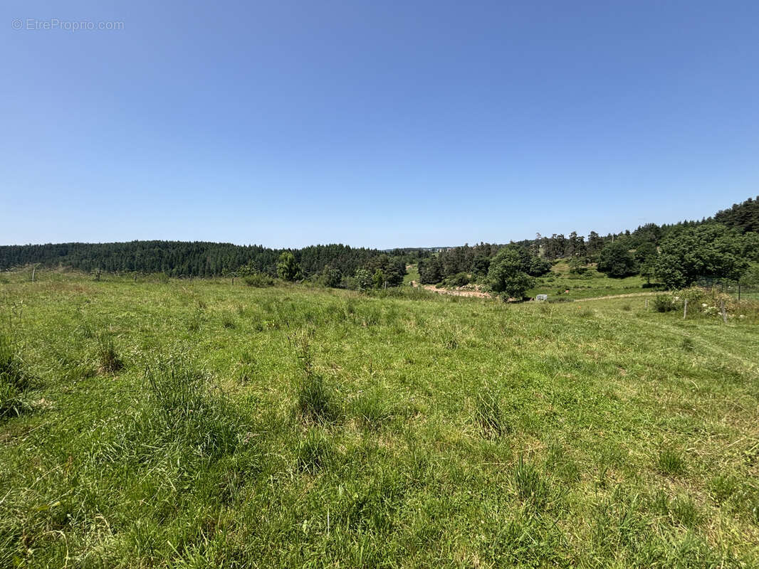 Terrain à SAINT-PAL-DE-MONS