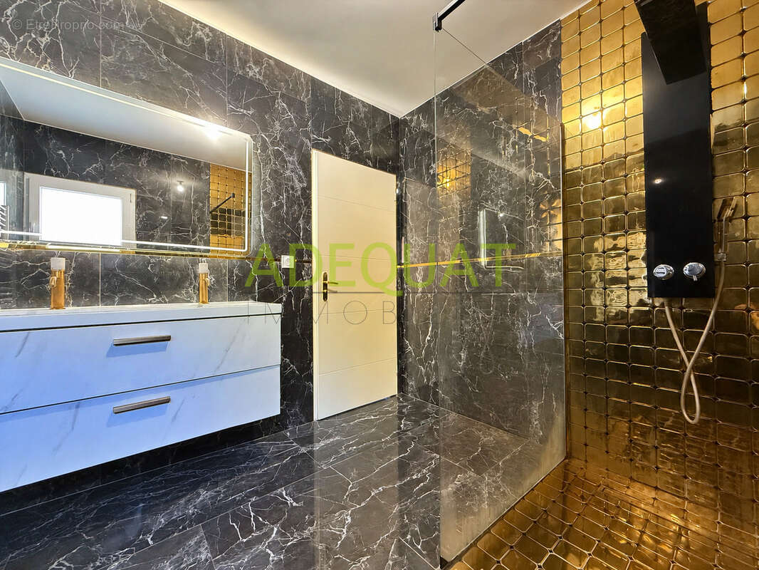 Cessieu / maison individuelle / 2 logements/ ideal bi-famille / 7 chambres / terrasses / cave / terrain de 202 - photo 8