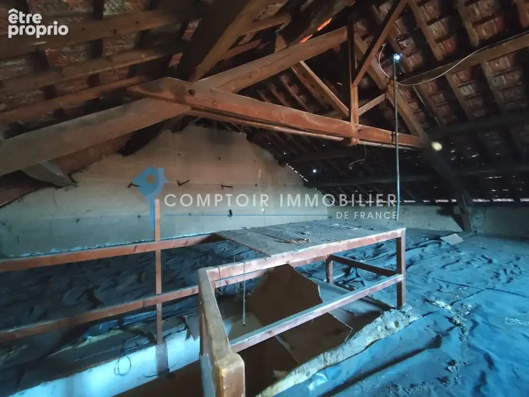 Ensemble immobilier à rénover au centre de Montferrat 38620 - photo 17