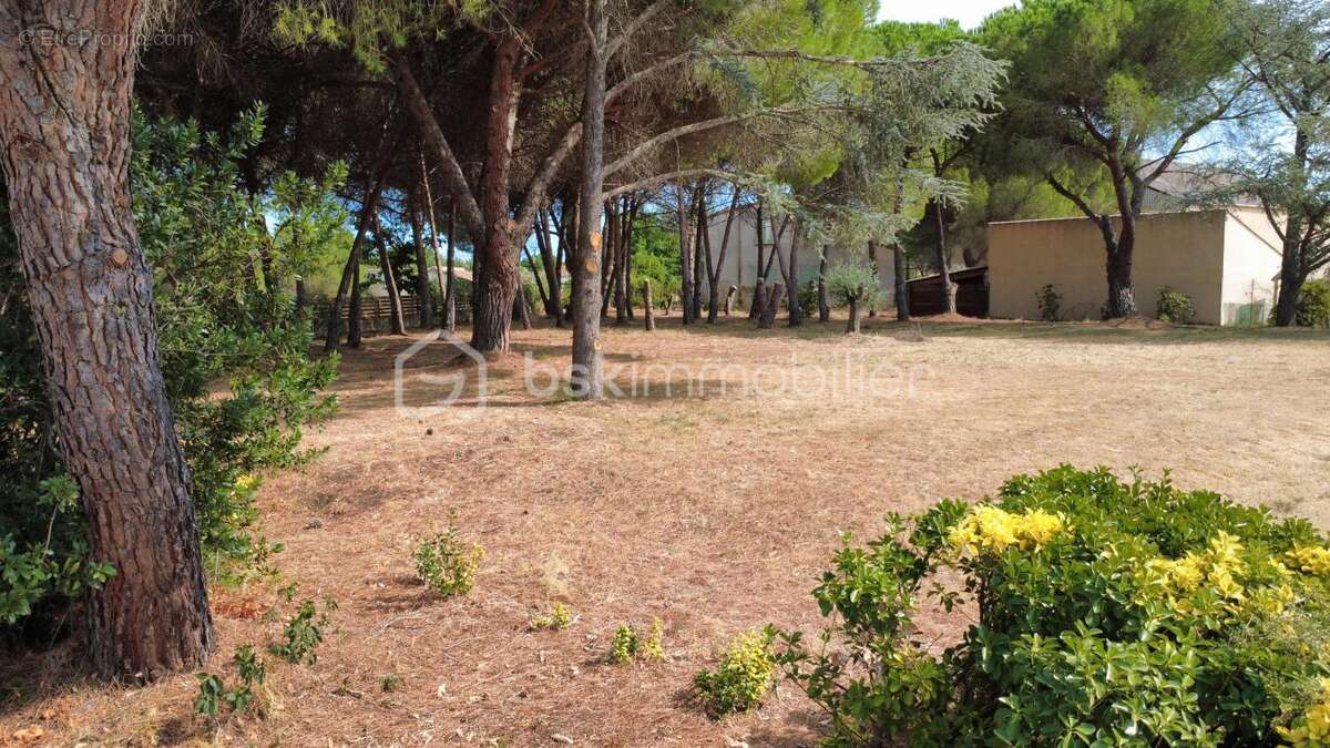 Terrain viabilisé de 1 872 m² – lézignan-la-cèbe – à 5 min de pézenas - photo 2