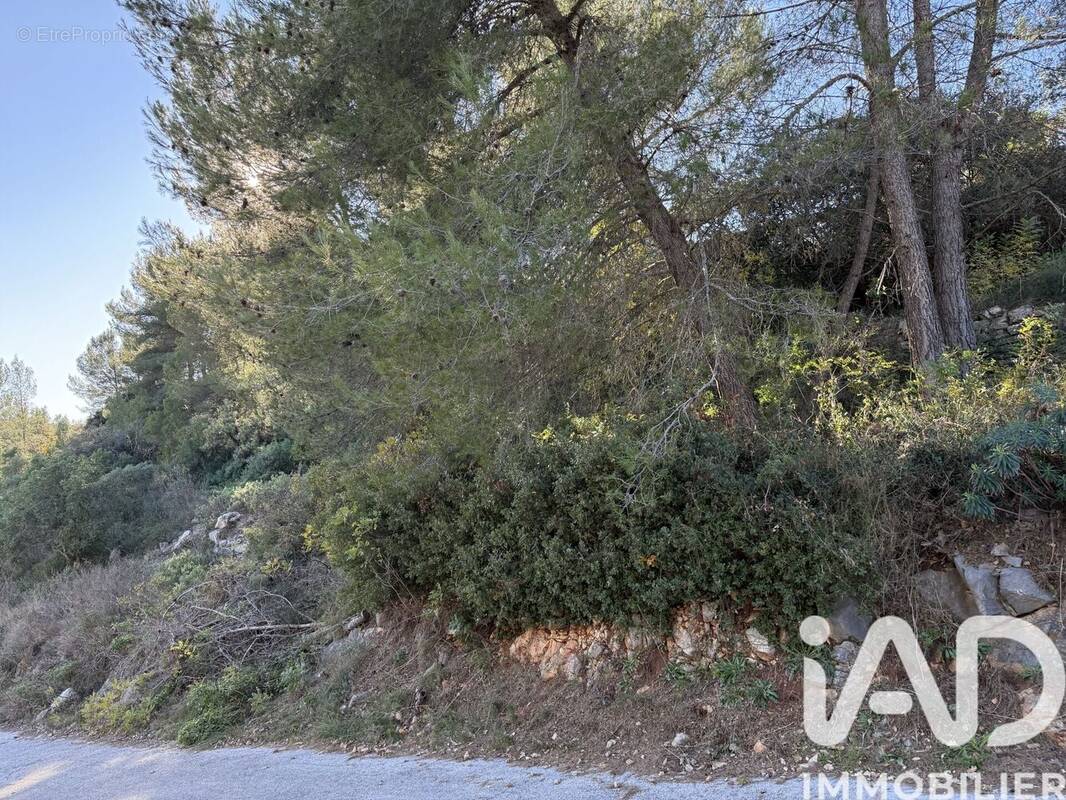 Photo 1 - Terrain à LE LUC