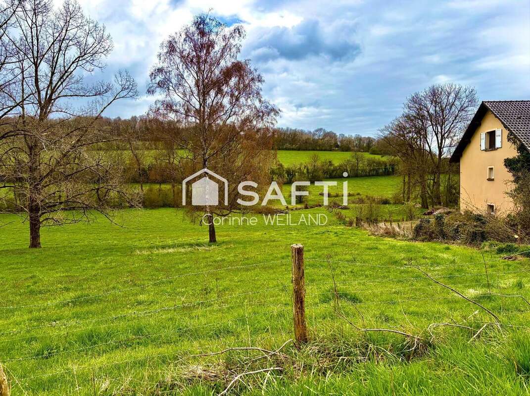 Photo 4 - Terrain à LONGEVILLE-LES-SAINT-AVOLD