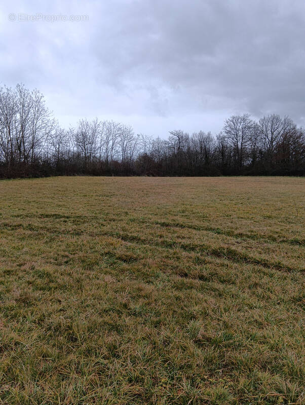 Terrain à TOURTOIRAC