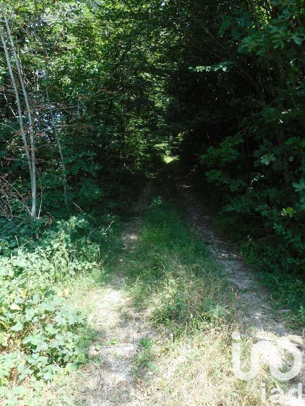 Photo 3 - Terrain à VERRERIES-DE-MOUSSANS