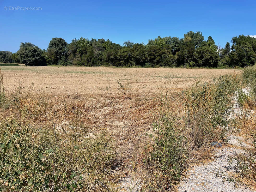 Maison à SAINT-ESTEVE