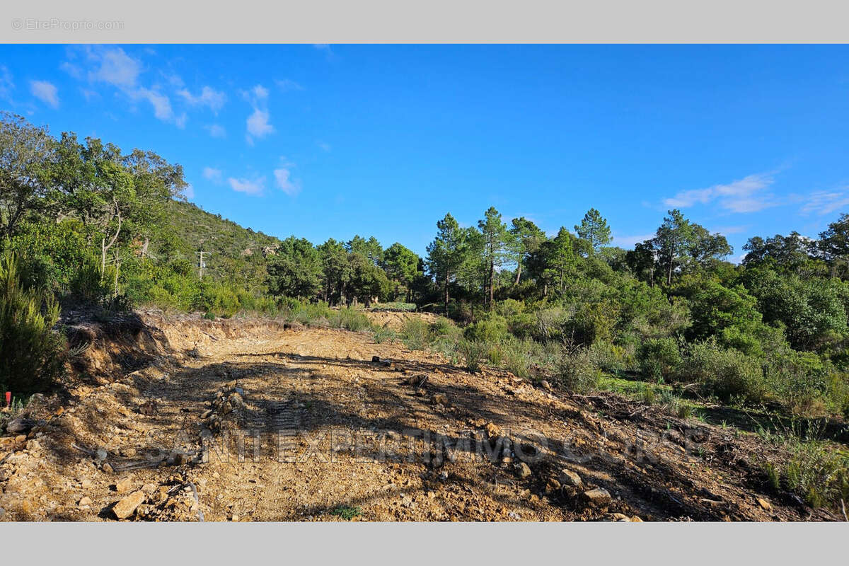 Terrain à SARI-SOLENZARA