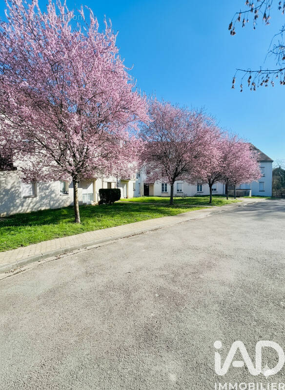 Photo 1 - Appartement à NOGENT-SUR-OISE