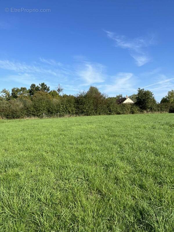 Terrain à VILLAINES-LA-CARELLE