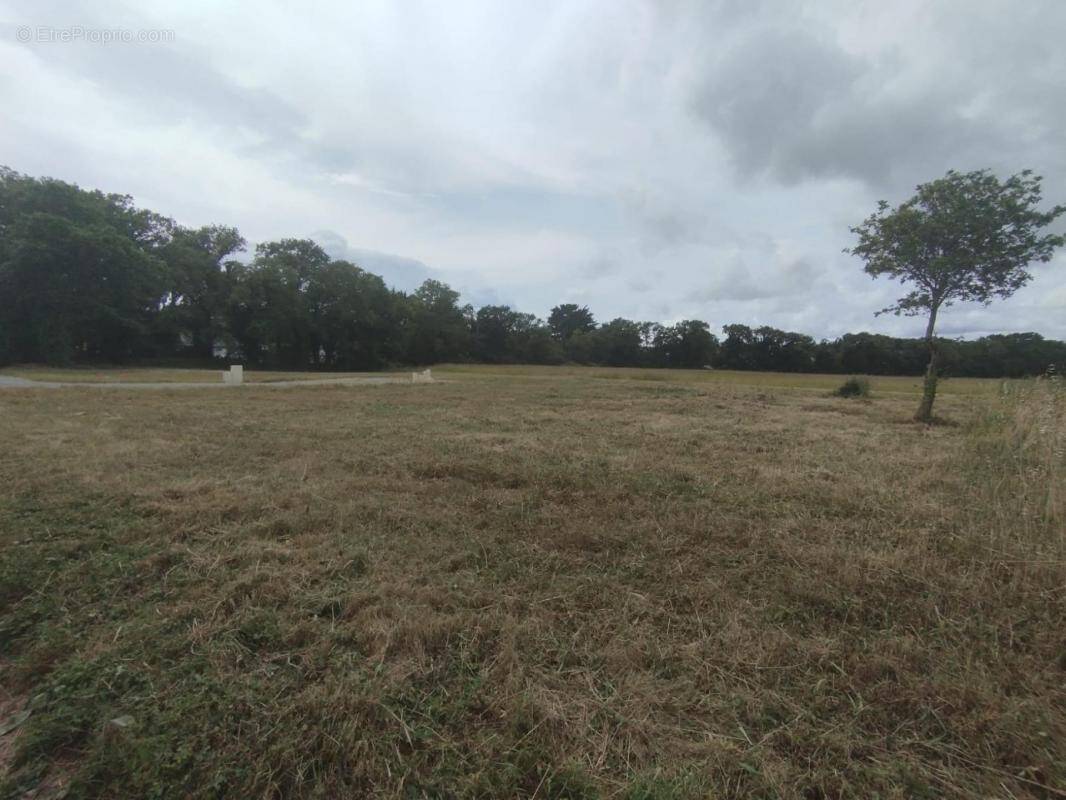 Terrain à LE TOUR-DU-PARC