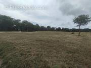 Terrain à LE TOUR-DU-PARC