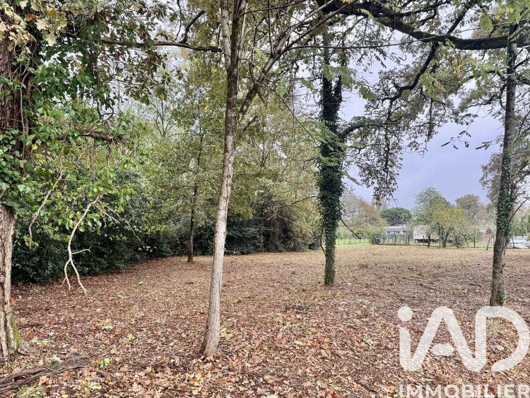 Photo 2 - Terrain à LOUCHATS