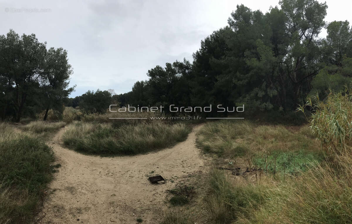 Terrain à MAUGUIO