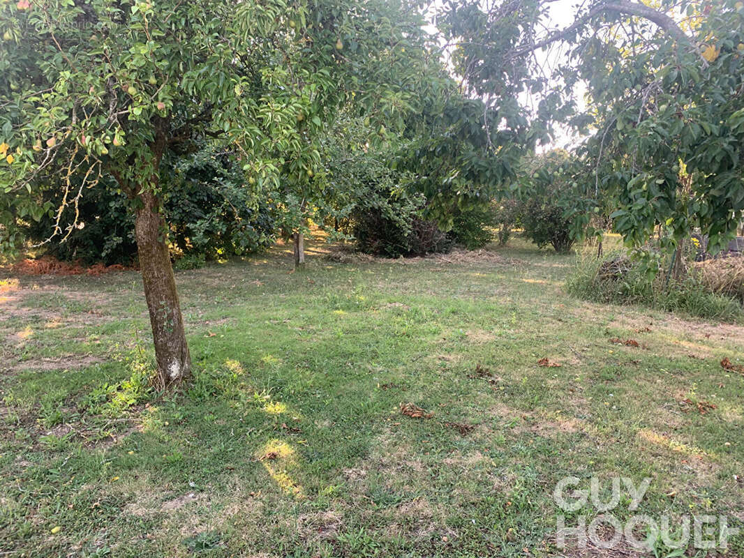 Terrain à vendre à Beauce la Romaine - Réf. 6421 - photo 3