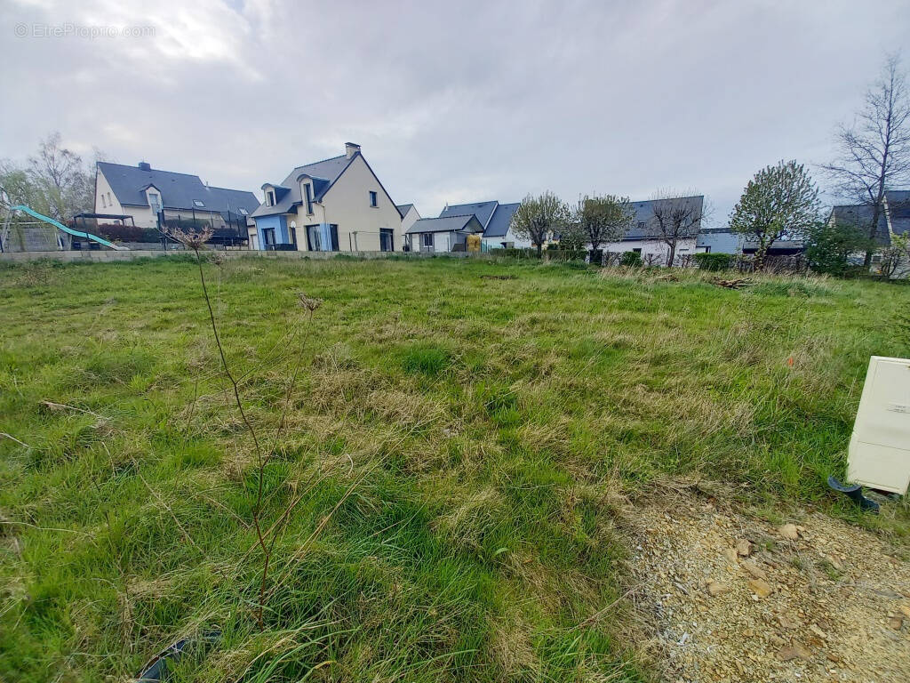 Terrain à BILLE