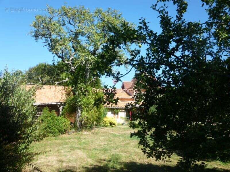 Maison 240 m² à Riberac  - photo 4
