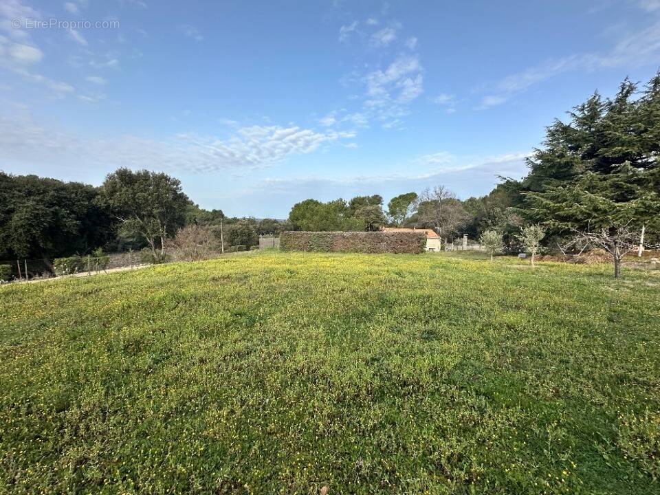 Terrain à LA BASTIDONNE