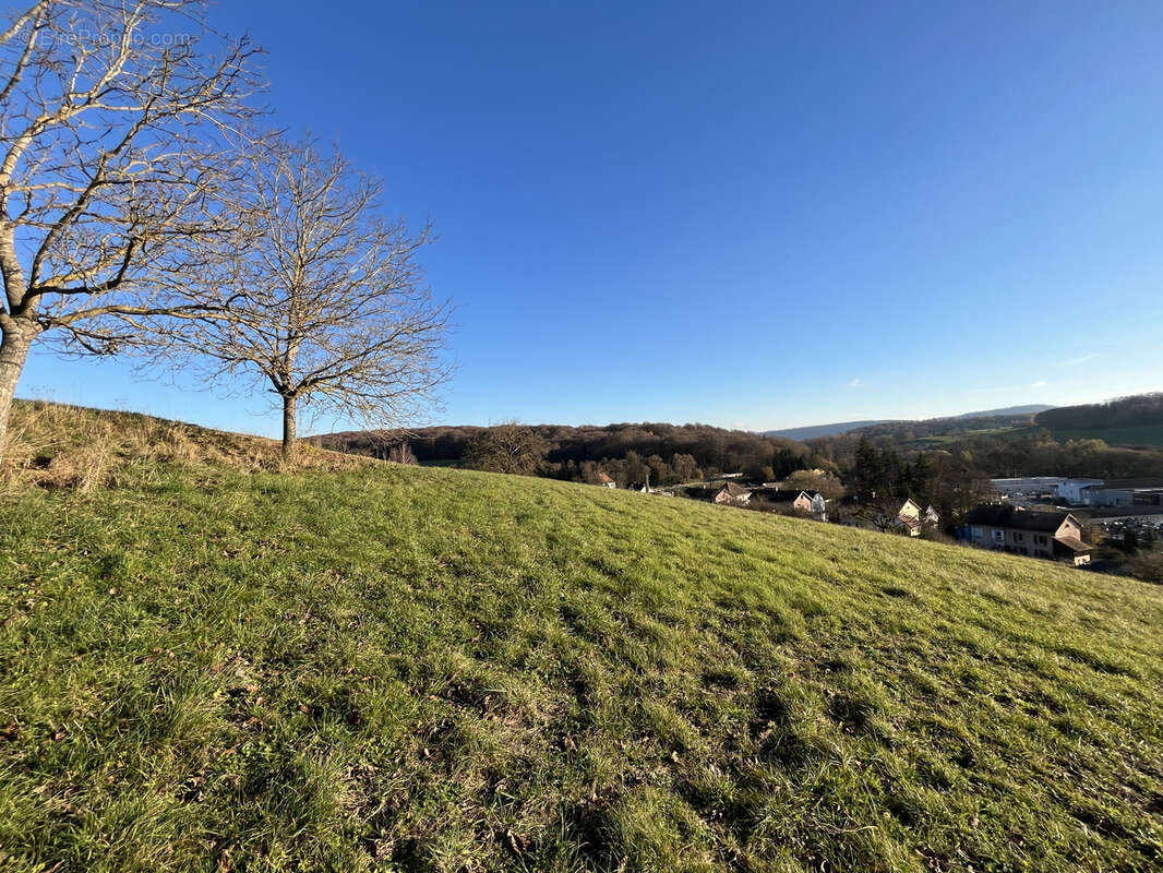 Terrain à WALDIGHOFEN