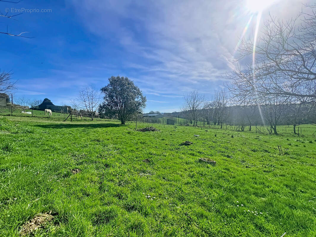 Maison à SAINTE-FEREOLE