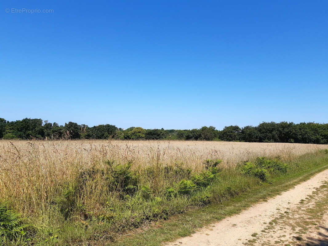 Longère isolée en campagne - photo 15