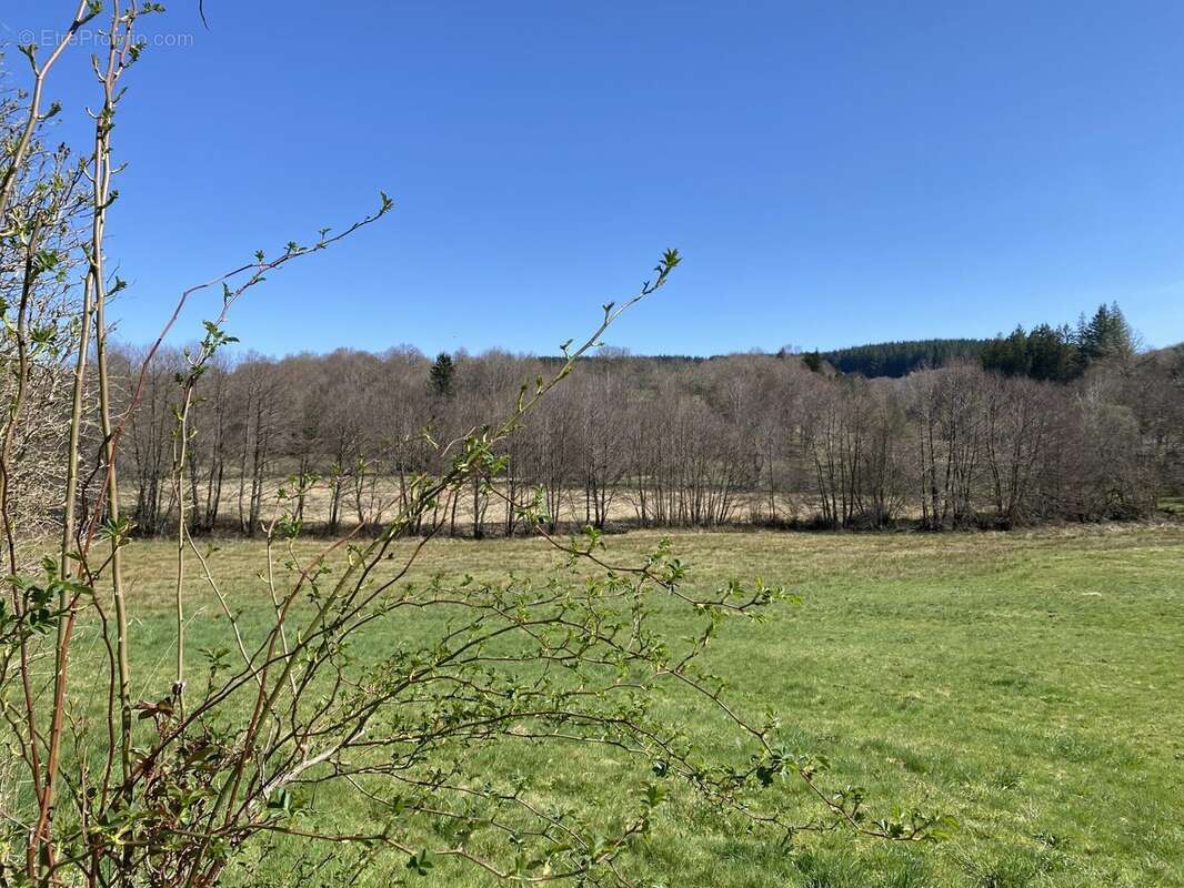 Maison 188 m² à Saint-Merd-Les-Oussines  - photo 2