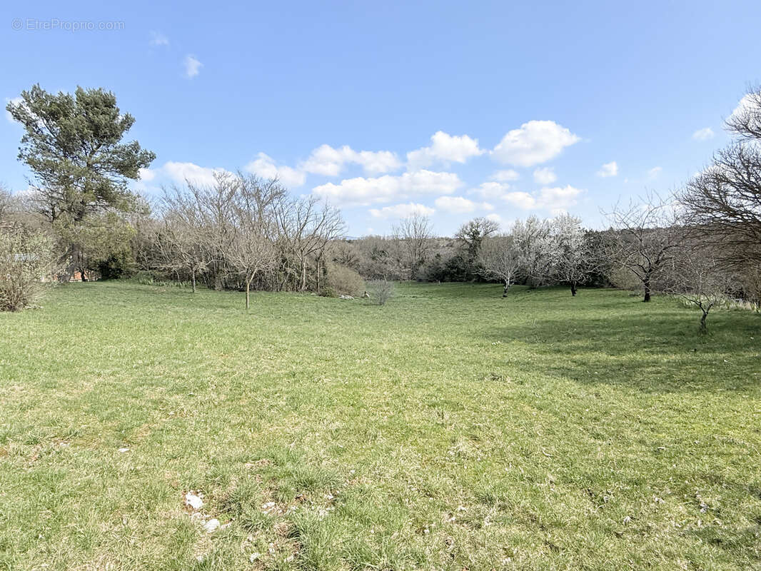 Petite habitation sur grand terrain constructible sur Campestre - photo 9