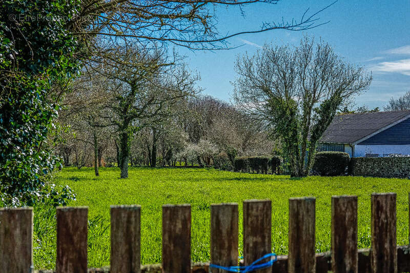 Maison à CLEDEN-CAP-SIZUN