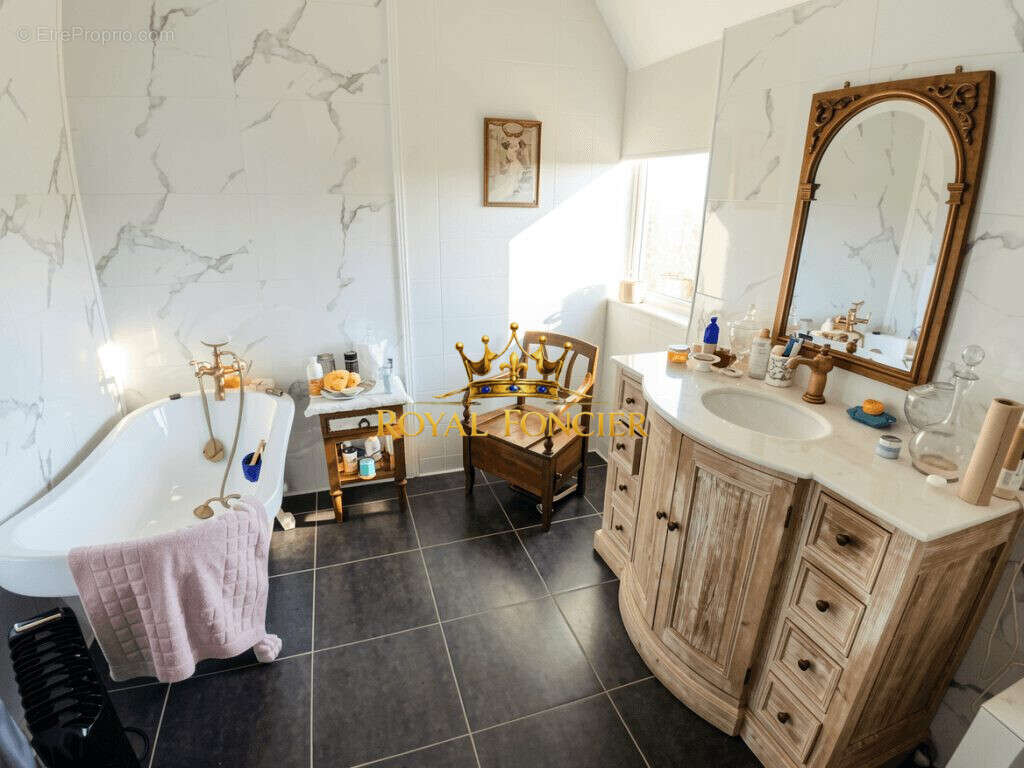 Maison 280 m² à Sainte-Maure-De-Touraine  - photo 9